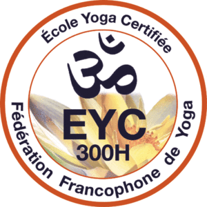 Stage de Formation professionnelle