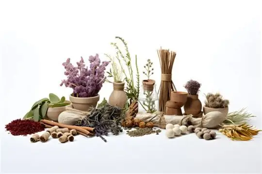 Atelier ayurvédique 6 décembre 9h à 12h